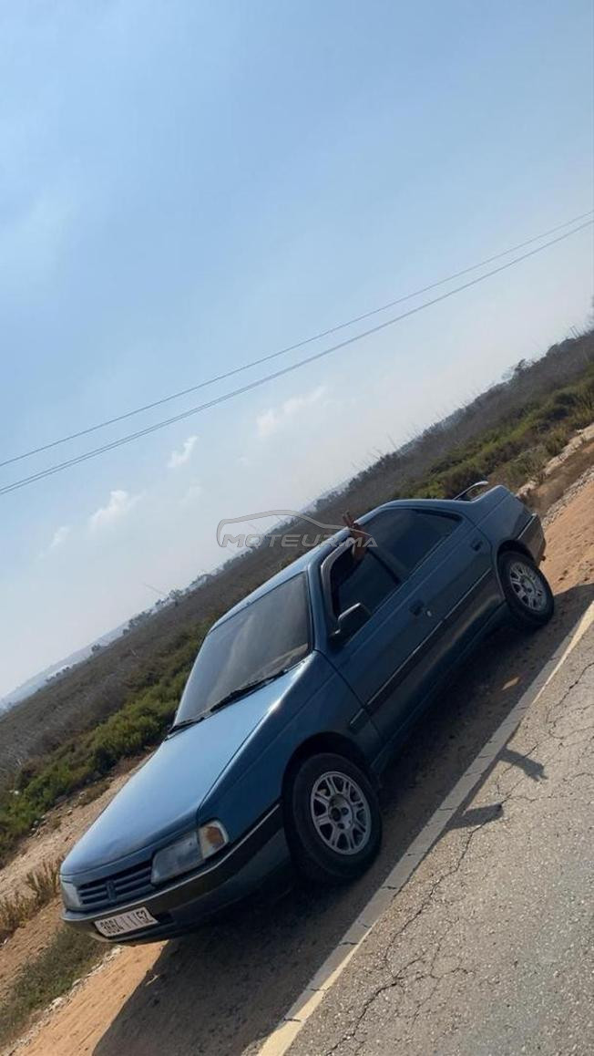 وجدة بركان
