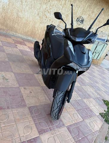 Cimatii...200cc - 2