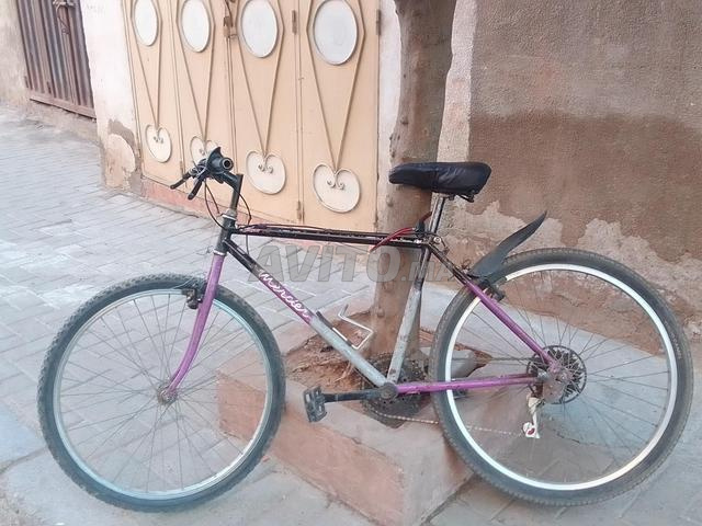 Vélo rapide de taille moyenne - 2