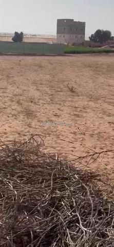 أرض فلاحية - 2