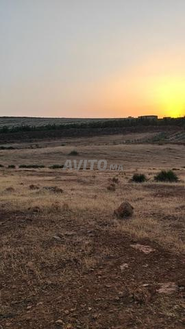 Terrain agricole - 2