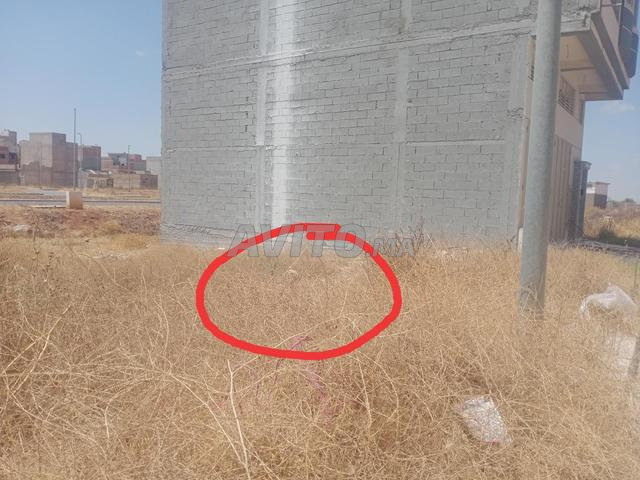 بقعة أرضية للبيع - 2