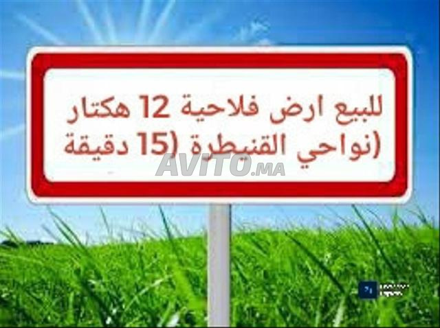 أرض فلاحية 12 هكتار محفظة