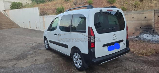 birlingo n9iya 2019