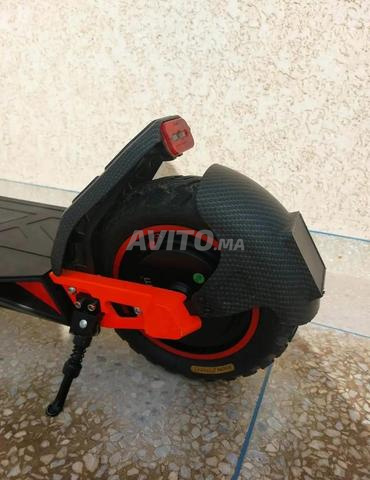 Bison gt 2025 - 2