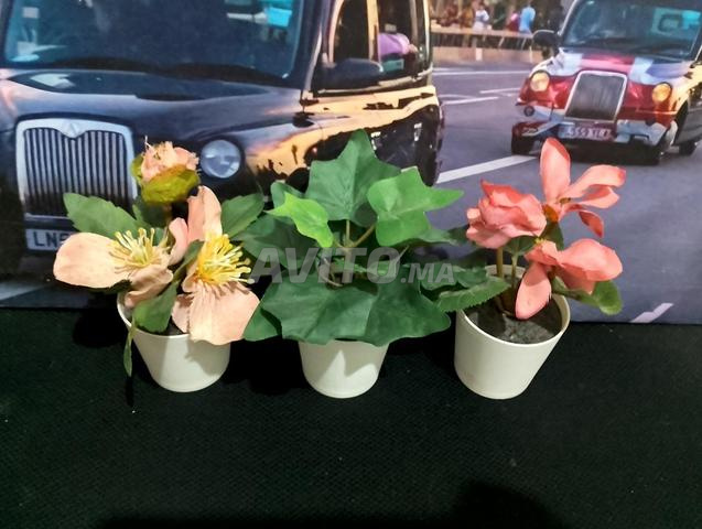 عبوة من 3 نباتات اصطناعية من ايكيا - 2
