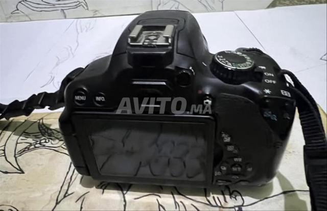 Canon 650D et objectif 300mm - 2