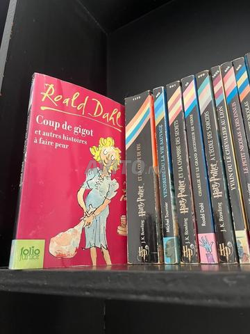 Pack de 15 livres à vendre Folio Junior, bon état - 2