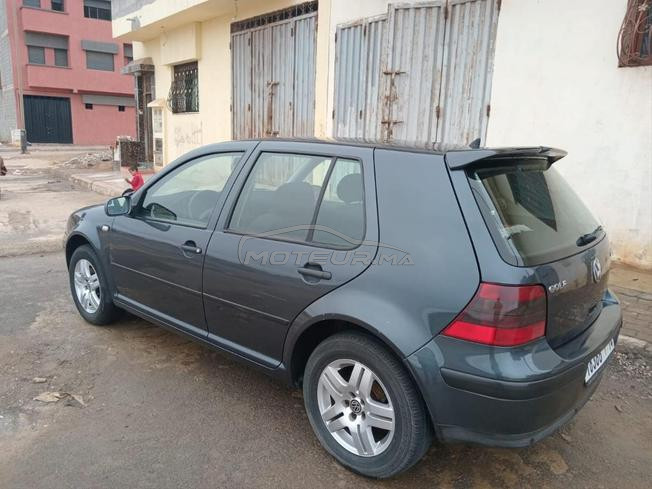 golf 4 (special)