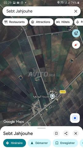 Belle terre agricole près de Sebt Jajouj - 2