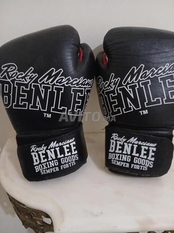 Gants de boxe Benlee Rocky Marciano 12oz - 2