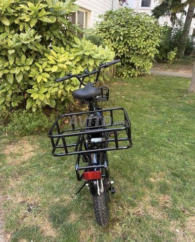 Vélo cargo pro électrique - 2