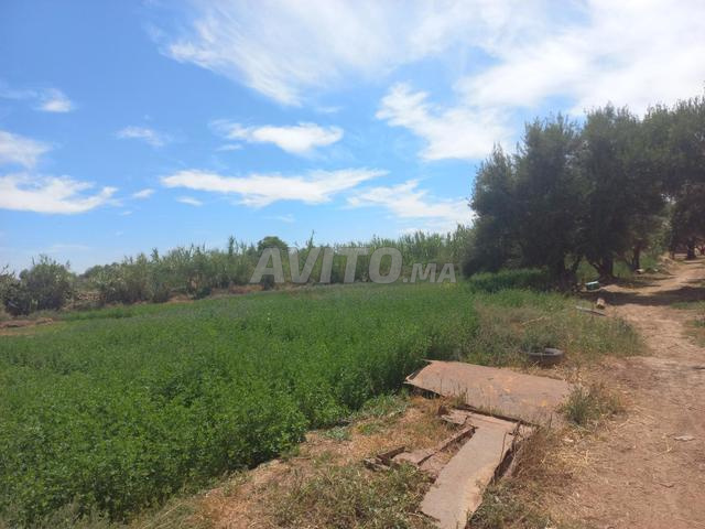 Terrain titré en zone urbaine Marrakech - 2