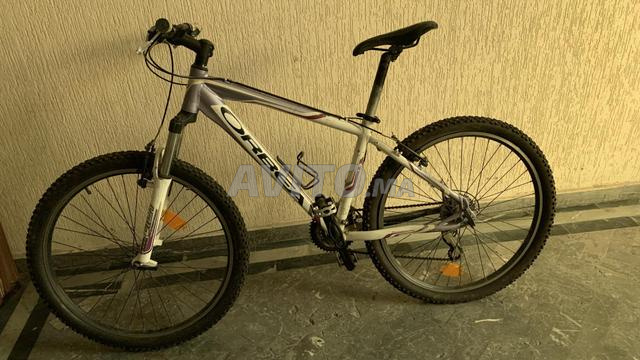 Vélo ORBEA - 2