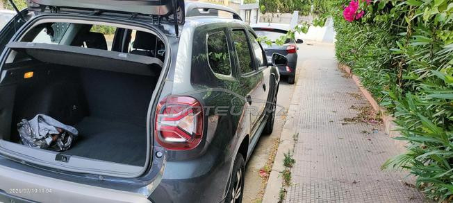 Duster automatique