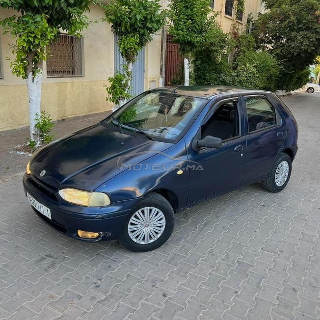 fiat palio 2003 diesel 