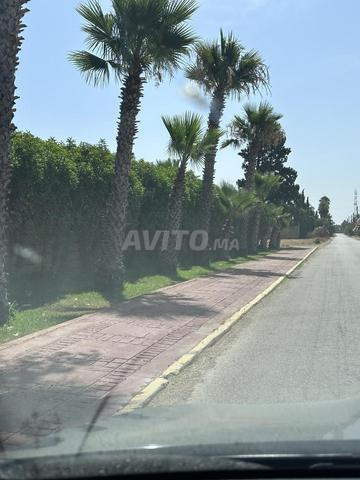 أرض بوسكورة لبسة منطقة حضرية د7 - 2