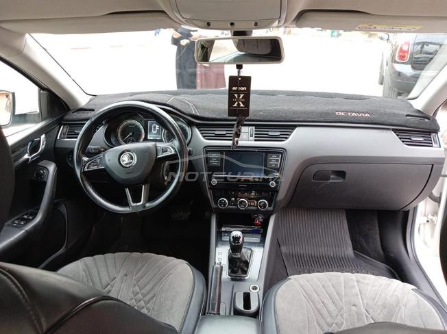 Skoda octavia 2man 2019 tt option 