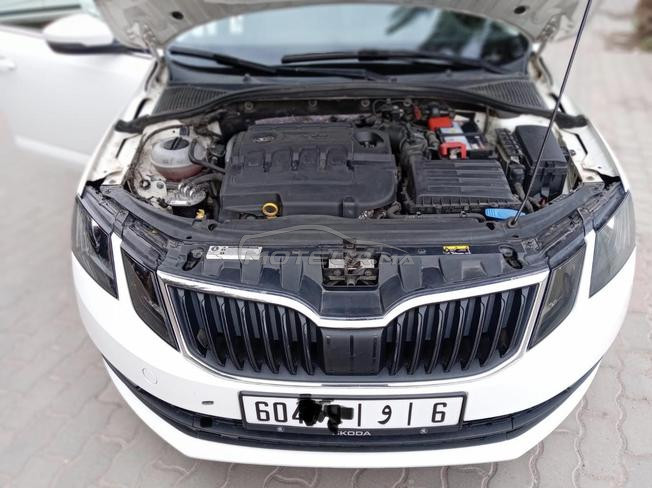 Skoda octavia 2man 2019 tt option 