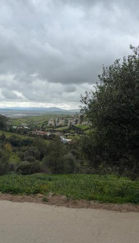 560 متر ملوّسة رومان طنجة - 2
