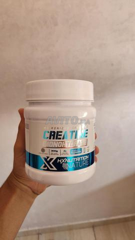 Créatine HX monohydrate - 2