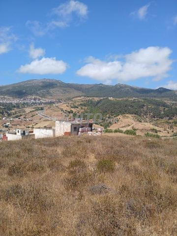 Terrain à vendre, titre de propriété - 2
