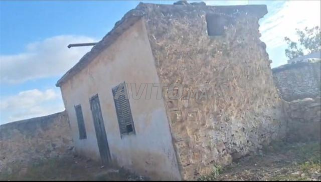 Terrain agricole avec ancienne habitation, titre foncier à Sidi Aïdi