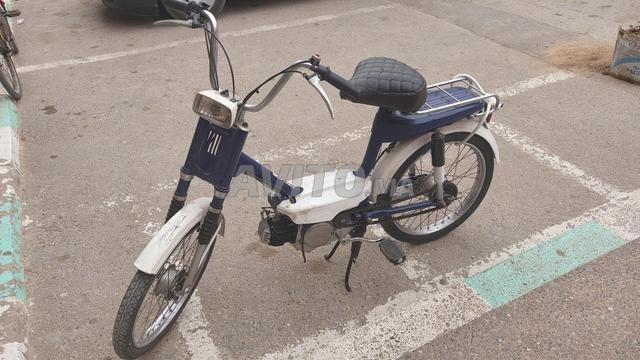 دراجة نارية قديمة للبيع - Honda PF50 Amigo - 2