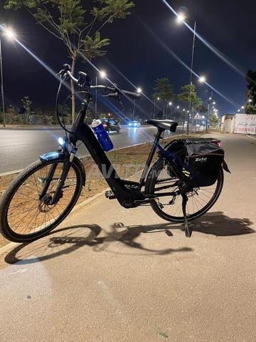 Vélo électrique Pegasus grande taille