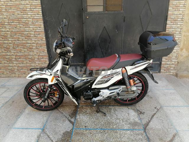 طريق جرادة