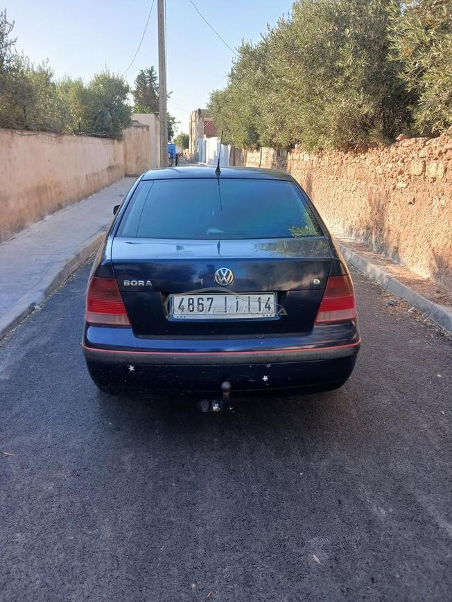 golf passat bora