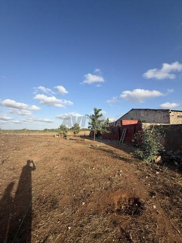 2 hectares titrés avec Hangar à vendre