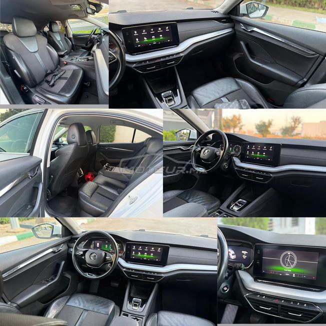 Skoda Octavia Diesel full option 2023