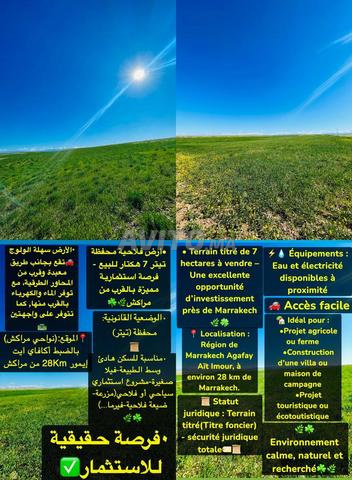أرض 7 هكتار مسجلة، صفقة جيدة - 2