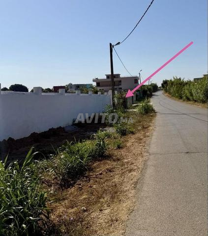 Terrain à vendre – Briech 1225 DH/m² Négociable - 2