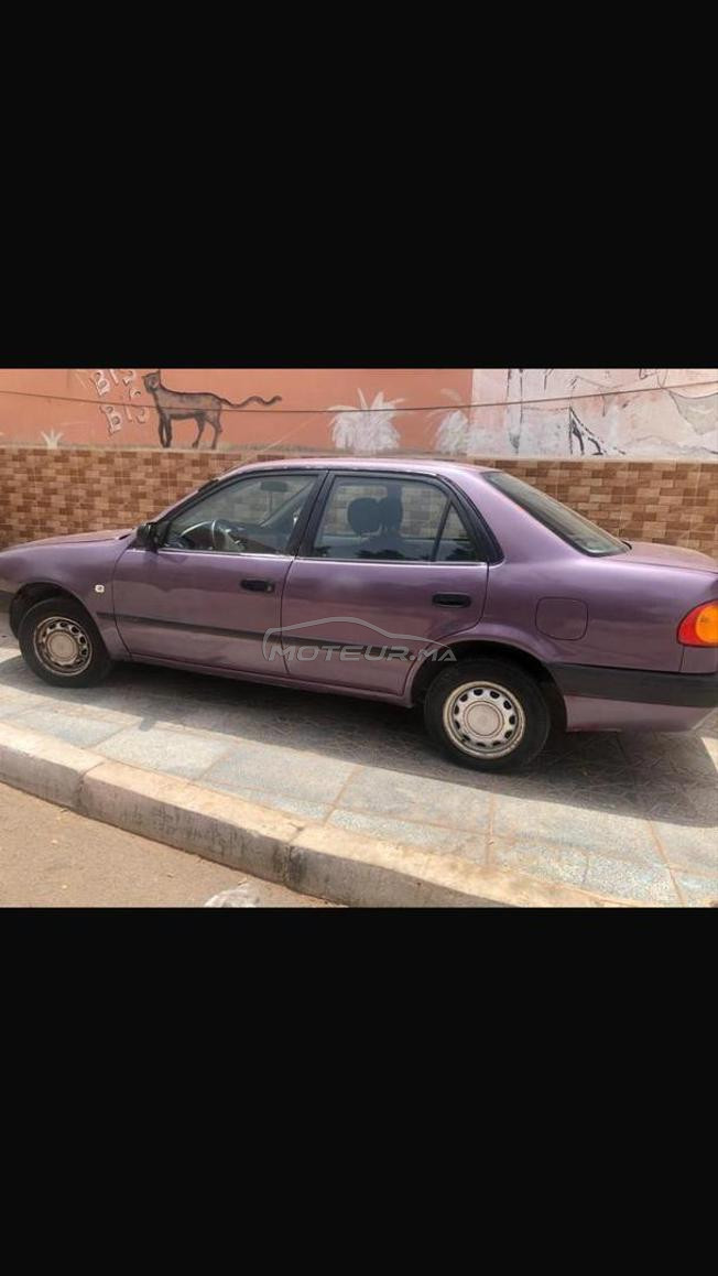 A guelmim81