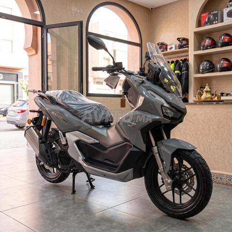 XADV BANDI SYM MODÈLE 2026 TAMAN HAWTA - 2
