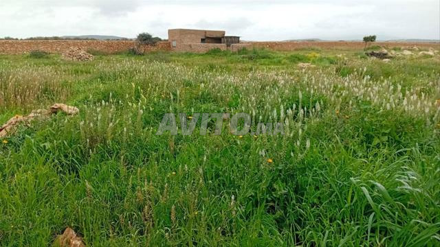 أرض بالصويرة - 2