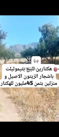 À VENDRE TERRAIN AVEC ACTE DE PROPRIETE DE 2H