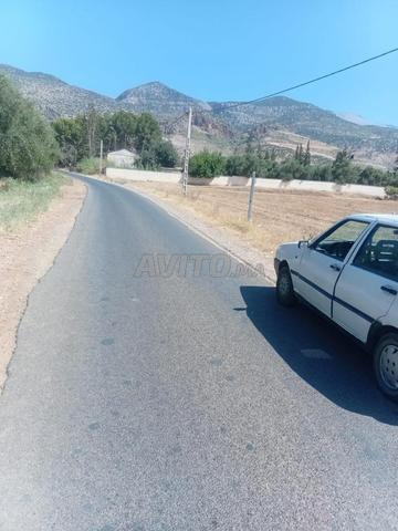 À VENDRE TERRAIN DE 4200M À TAGZERT ACTE PROPRIETE - 2