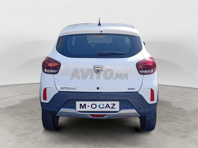 DACIA. Spring