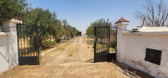 مزرعة مسجلة بمساحة 15000 متر مربع للبيع