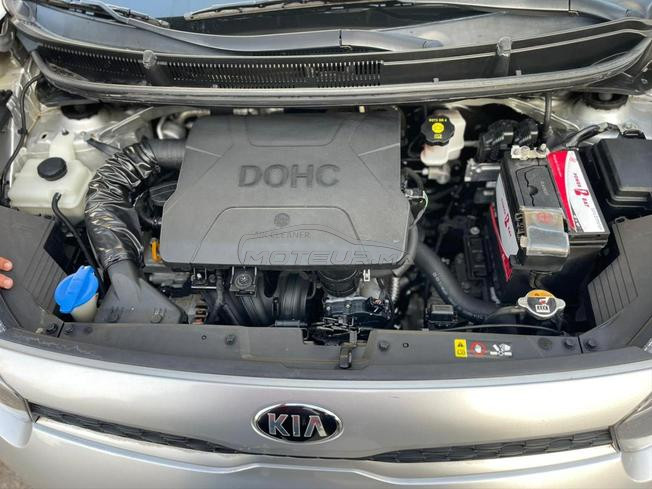 picanto kia 