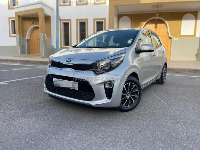 picanto kia 