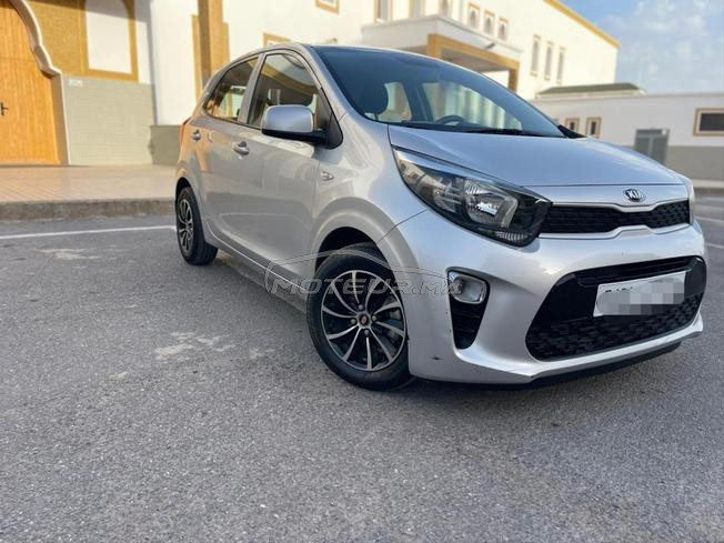 picanto kia 