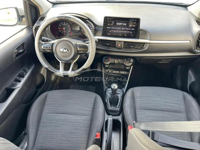 picanto kia 