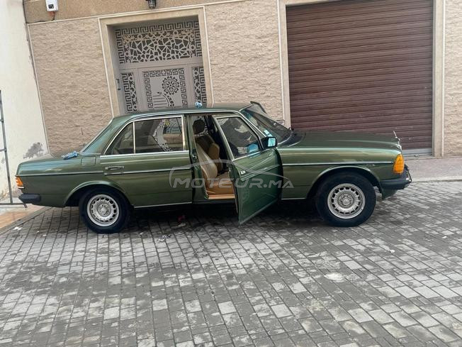 240d collection diwana 2024 