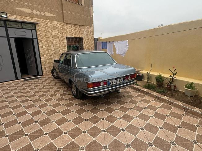 e280 collection diwana 2025 