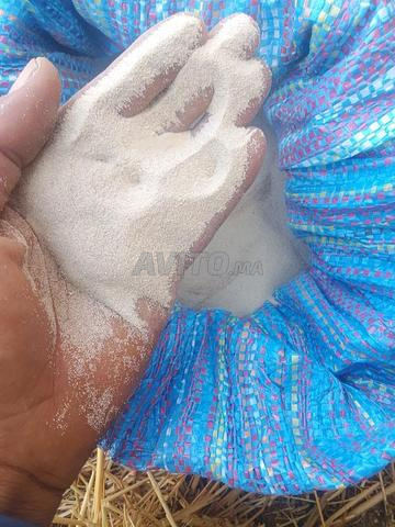 دوار بوعشرين لبريكين