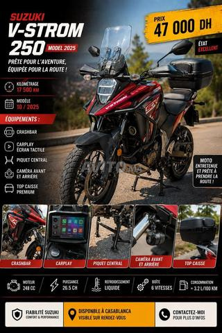 سوزوكي فيستروم 250sx